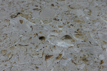 Close-up of the detailed texture of natural beige stone