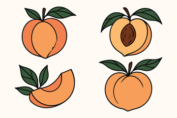 Hand drawn illustration of fresh peaches and peach slices with green leaves