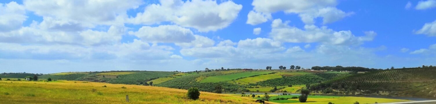Green meadow landscape with rolling hills and cloudy sky
