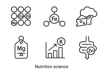 Fototapeta premium Nutrition Science Icons. Line style icons of nutrition science: minerals, iron molecule icon, calcium-rich food symbol, magnesium