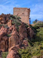 Fototapete bei efototapeten.de bestellen   