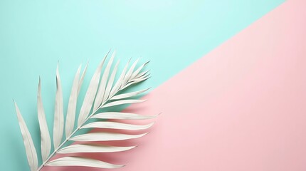 White palm leaf on a pastel pink and blue background with copy space