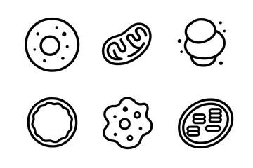 Cellular Structure Icons. Line style icons of cellular structures: nucleus, mitochondria, ribosome, cell membrane, cytoplasm,