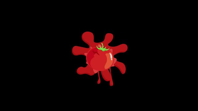 Throw a red tomato on black and blue background. 2D animation cartoon of tomato splash. crush tomato.