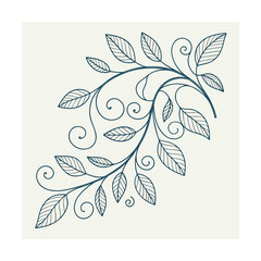 Elegant floral swirl design with leaves decorative corner element for graphic design projects isolated on transparent background