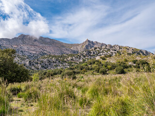 Obraz premium Serra de Tramuntana, Mallorca, scenic landscape featuring a rugged mountain with sparse vegetation, set against a partly cloudy sky, with a grassy field in the foreground. Majorca