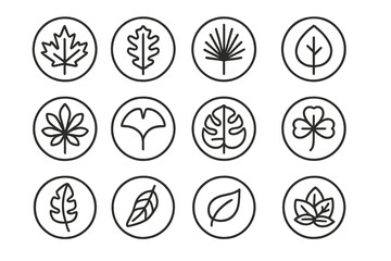 Line Style Leaf Icons. Line style icons of leaves in round shape: maple leaf, oak leaf, palm leaf, birch leaf; chestnut leaf,