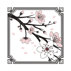 Delicate pink cherry blossoms blooming on dark branch against elegant border isolated on transparent background