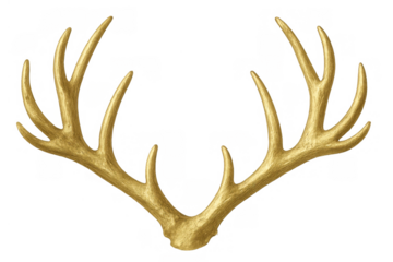 Golden deer antlers decorating game, hunting, or luxury concepts, isolated with transparent background