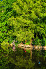 Fototapete bei efototapeten.de bestellen   