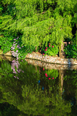 Fototapete bei efototapeten.de bestellen   