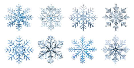 PNG Intricate frosty snowflake designs, element set on transparent background
