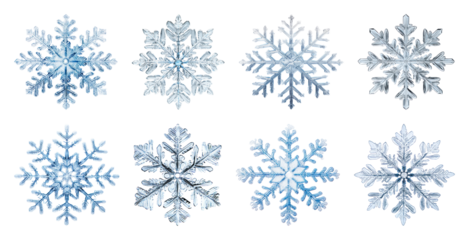 PNG Intricate frosty snowflake designs, element set on transparent background