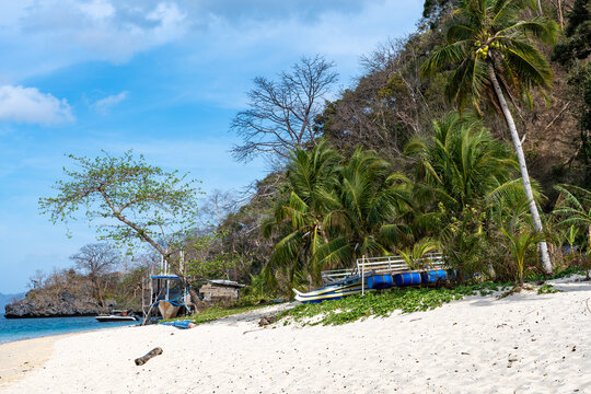 Wei&szlig;er Strand mit Palmen von Seven Commandos Beach, Palawan, auf den Philippinen
