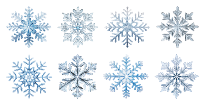 PNG Intricate frosty snowflake designs, element set on transparent background