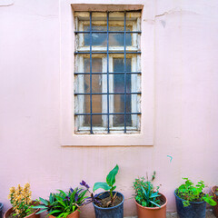 flower pots under an old window