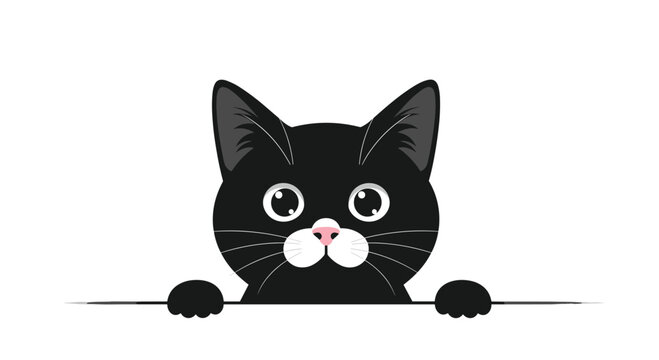Cute black cat peeking over a surface with its paws visible; vector illustration.
