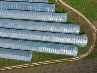 Fototapeta premium An aerial top-down view of multiple long hoop greenhouses (poly tunnels) bordered by tilled brown field and green grass. The scene emphasizes agriculture, scale, and pattern