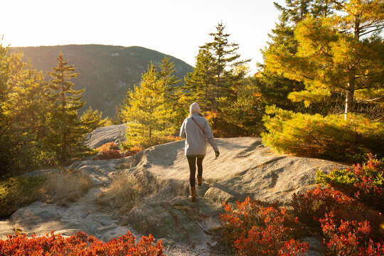 Mountain hiking at Acadia National Park