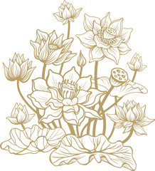 Vector Illustration with Blooming Lotus Flowers and Leaves, Elegant Floral Vector Art