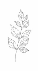 Obraz premium Minimalist Plant Branch: A refined line drawing showcases the elegant form of a single plant branch, depicting delicate leaves and intricate veins.