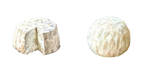 ricotta watercolor vector illustration