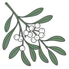 Illustration of a mistletoe branch with white berries