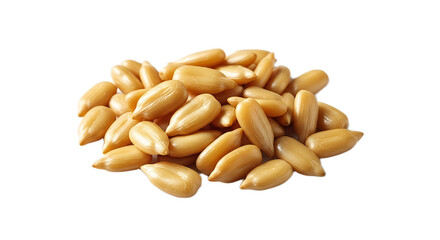 A small pile of shelled sunflower seeds with a light tan color on a solid black background scene shot