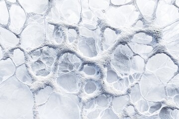 A mesmerizing abstract image showcasing an intricate, frosty, interconnected network of organic structures. Delicate ice-like patterns create a fascinating cellular or microscopic texture.