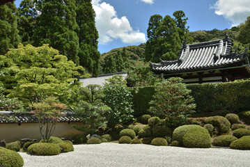 夏の酬恩庵一休寺　方丈南庭(京都府京田辺市)