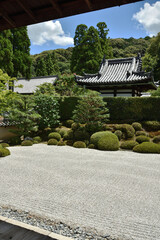 夏の酬恩庵一休寺　方丈南庭(京都府京田辺市)