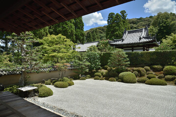 夏の酬恩庵一休寺　方丈南庭(京都府京田辺市)