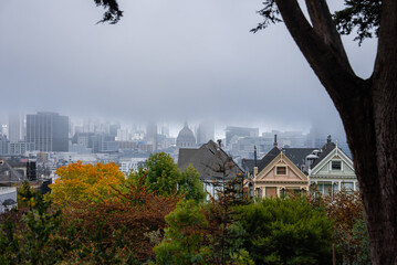 Pastel Victorian homes at Alamo Square frame autumn trees, while City Hall and downtown towers recede into fog under soft daylight and a low marine layer.