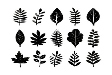 Fototapeta premium Collection of dark tropical foliage silhouettes displaying various leaf shapes and textures for natural design elements isolated on transparent background