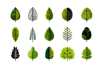 Collection of vibrant green leaf patterns detailed textures and natural forms representing flora isolated on transparent background