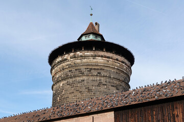 Tower And Pigeons At The City Walls In Nuremberg, Germany. 