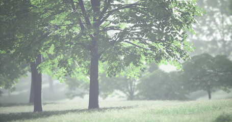 Sunlight filters through vibrant green leaves, casting playful shadows on the soft grass below. The tranquility of the park invites peaceful contemplation amid natures beauty.