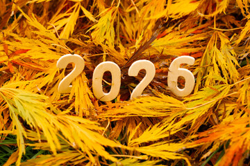 2026 wooden numbers on leaves in autumn yellow and red tones
