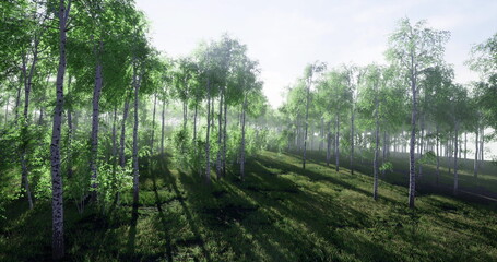 Morning light cascades over a vibrant forest, illuminating the fresh green foliage of tall trees. Shadows dance on the soft forest floor, creating a tranquil atmosphere perfect for reflection.