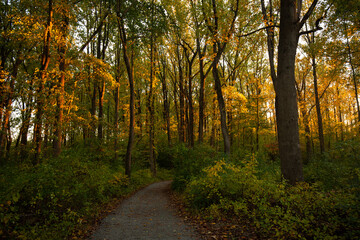 Fototapeta premium Hiking at golden hour in autumn