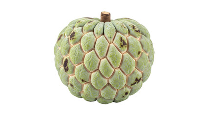 Fototapeta premium A single fresh ripe custard apple, also known as a sugar apple, isolated on a transparent background