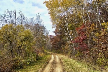 Late Autumn view of The 400 State Trail passing through a forest displaying late Autumn colors near Reedsburg, Wisconsin.