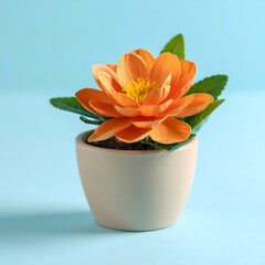 Orange flower in beige pot on a transparent background isolated studio shot