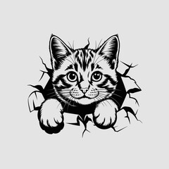 Obraz premium Cute tabby kitten peeking through a torn paper background