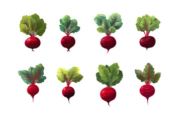 Fresh radishes with green leaves isolated culinary ingredient healthy food isolated on transparent background