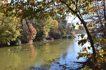 A tranquil lake is surrounded by fall foliage in shades of yellow, orange, and red. Trees line the water's edge, their branches extending over the lake, casting reflections on its surface.