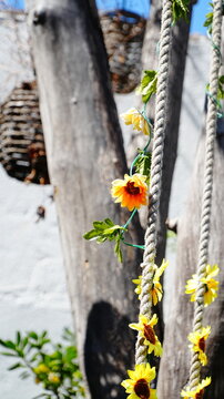 Adorno de girasol sobre una cuerda atada a un arbol