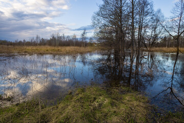 Lake with trees in the background