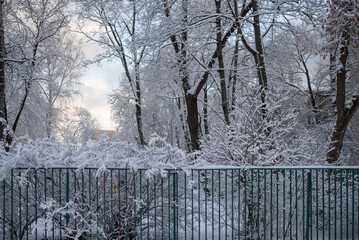 snowfall in the city, winter cityscape
