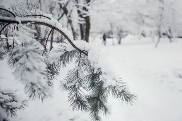 snowfall in the city, winter cityscape
